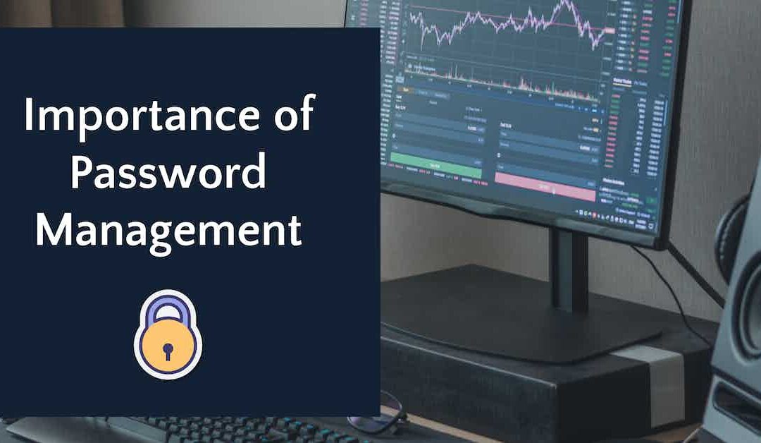 The Importance of Using a Password Manager